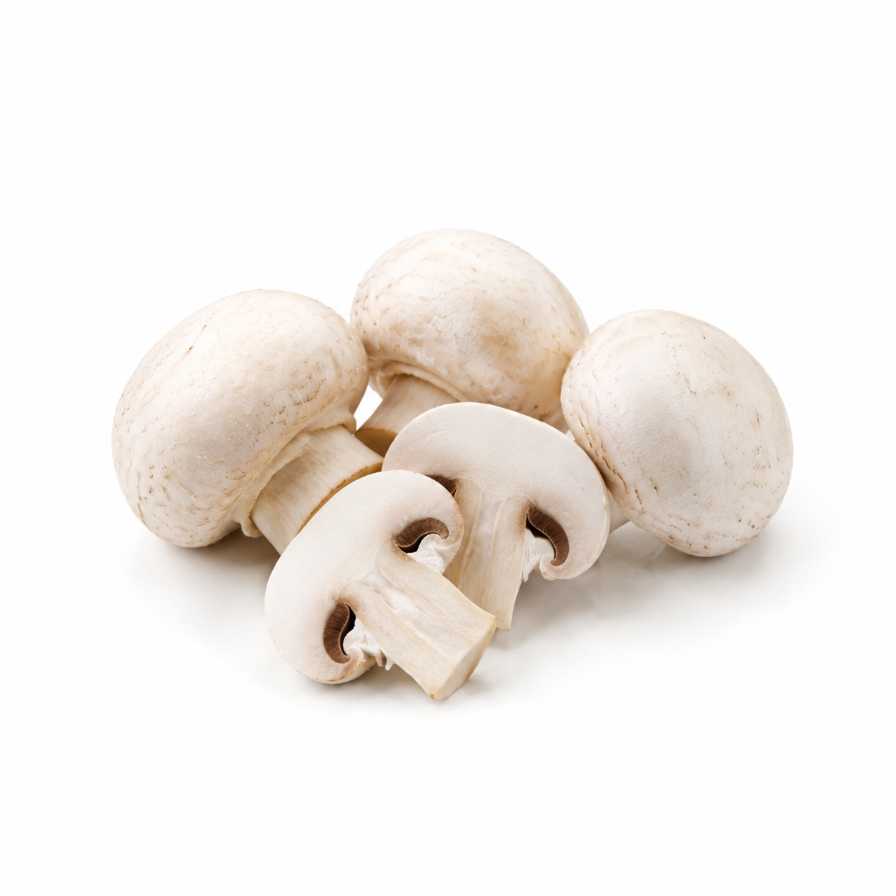 Mushroom